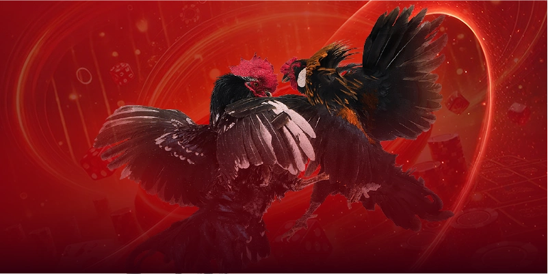 Tìm hiểu và nghiên cứu từng trận đấu trước khi đặt cược